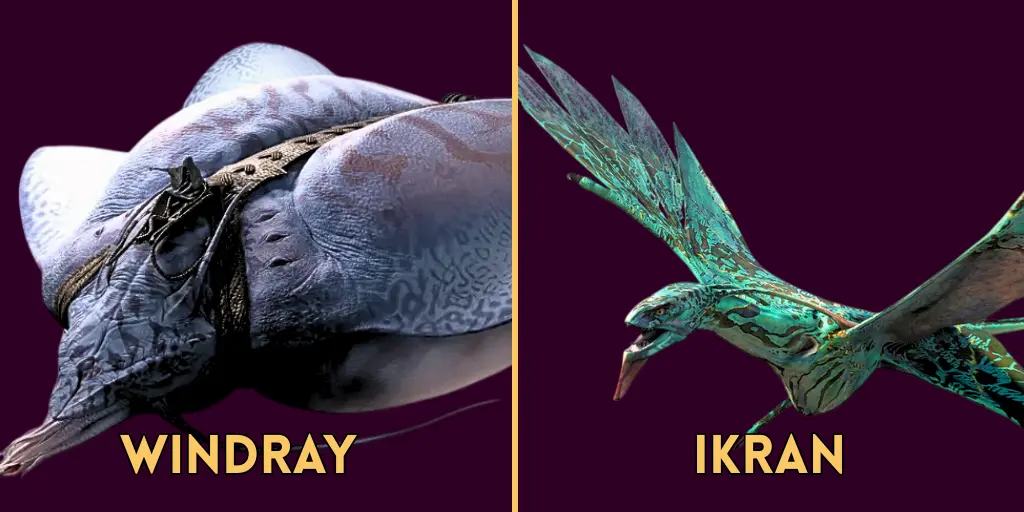 Windray vs. Ikran comparisons