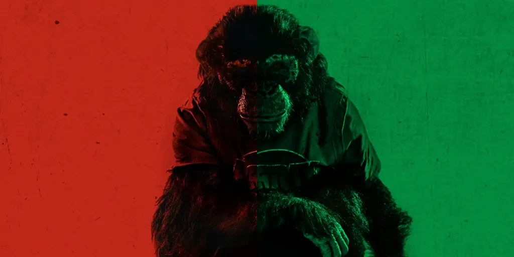 Is Ben a Real Chimp or CGI