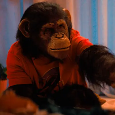 Ben (Chimpanzee)